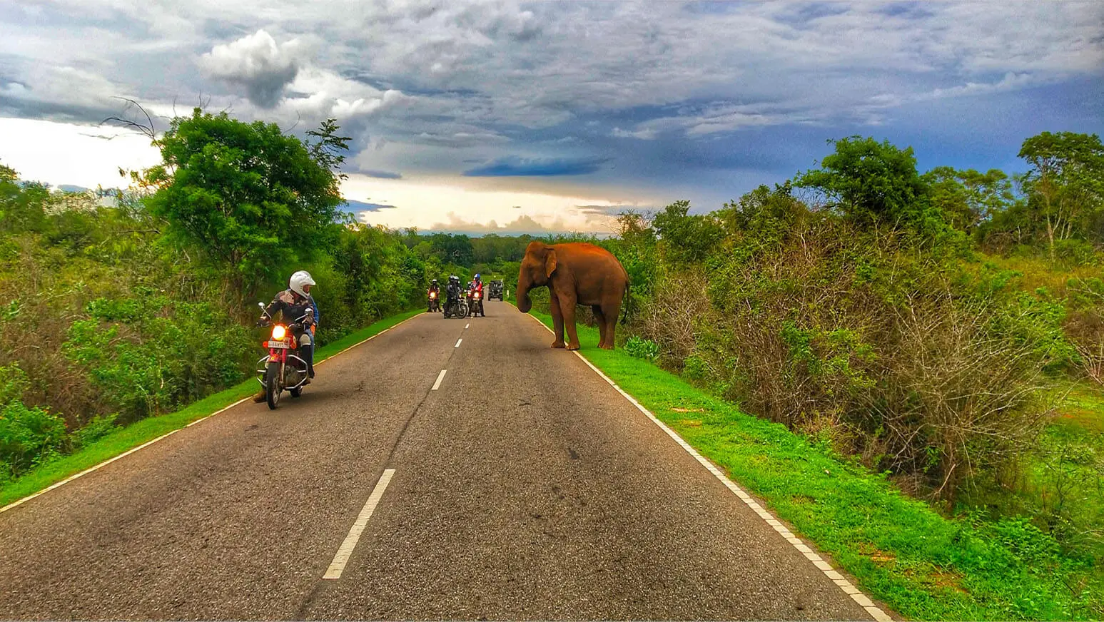 Royal Enfield Tours - Gallery Image 5